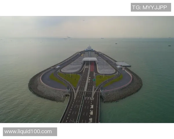 武汉排球队在钻石联赛中的逆袭之路与辉煌成就揭秘